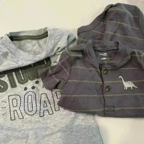 Boy’s Simple Joys by Carter Dinosaur Set of 24 Month Clothing - 2 Pants/2 Shirts - Picture 6 of 7